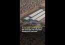 ‘Lone Star Lockup’ joins growing list of huge US migrant detention centres | AJ #shorts