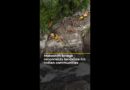 Makeshift bridge reconnects Indian communities cut off by landslides | AJ #shorts
