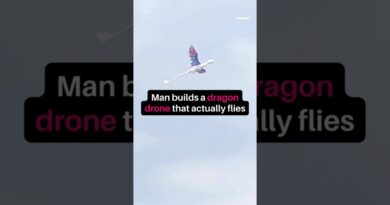 Man builds a dragon drone that actually flies