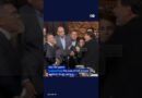 Mexican senators fight in chamber | DW News