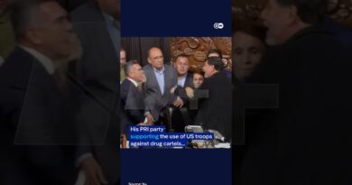 Mexican senators fight in chamber | DW News