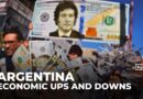 Milei tames inflation, but Argentines still struggle to afford basics