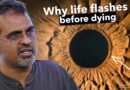 MIT Scientist Discovers What Happens After Death