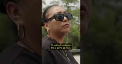 My cousin is inside Trump’s ‘Alligator Alcatraz’, without immigrants this country ‘is going down’