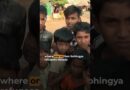 Myanmar rebels accused of atrocities against Rohingya | AJ #shorts