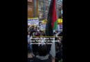 New York protests over killing of Al Jazeera staff in Gaza and US ‘blackout’