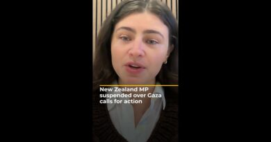 New Zealand MP suspended over Gaza calls for action | AJ #shorts