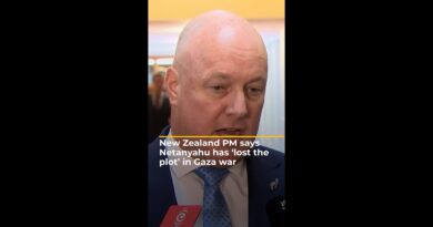 New Zealand PM says Netanyahu has ‘lost the plot’ in Gaza war | AJ #shorts