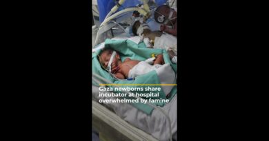 Newborns share incubator at Gaza hospital overwhelmed by famine | AJ #shorts