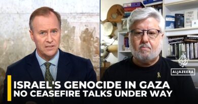 ‘No ceasefire negotiations going on at the present time’: Ex-Israeli negotiator