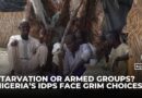 Northeast Nigeria faces humanitarian crisis as WFP halts aid to IDP camps