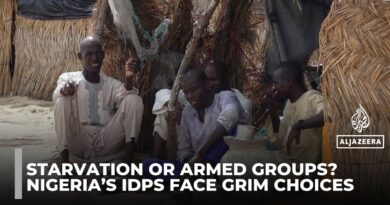 Northeast Nigeria faces humanitarian crisis as WFP halts aid to IDP camps