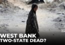 ‘Oslo-style’ two-state solution is dead: Scholar