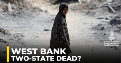 ‘Oslo-style’ two-state solution is dead: Scholar