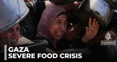 Over 159 Starvation Deaths in Gaza Amid Catastrophic Food Crisis