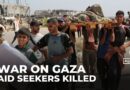 Over 50 Palestinians killed by Israeli forces at Gaza aid sites as hunger crisis worsens