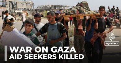 Over 50 Palestinians killed by Israeli forces at Gaza aid sites as hunger crisis worsens