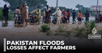 Pakistan flooding: Farmers survey extensive damage to their crops