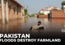 Pakistan floods displace over 1 million, destroy farmlands in Punjab