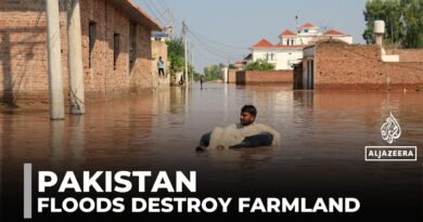 Pakistan floods displace over 1 million, destroy farmlands in Punjab