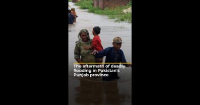 Pakistan’s Punjab province faces worst floods in its history | AJ#shorts