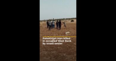 Palestinian man killed in occupied West Bank by Israeli settler | AJ #shorts