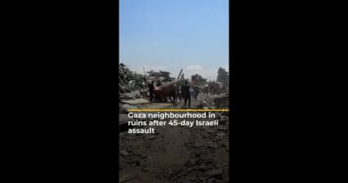 Palestinians return to Gaza’s al-Zeitoun after 45-day Israeli assault | AJ#shorts