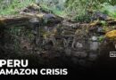 Peru’s Amazon under threat: Industry blamed for massive land loss