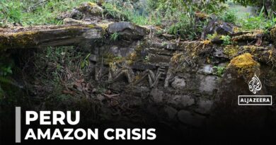 Peru’s Amazon under threat: Industry blamed for massive land loss