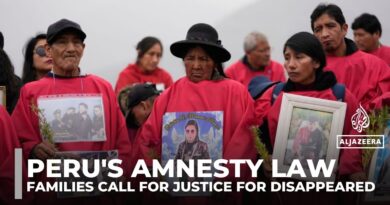 Peru’s president grants amnesty to security forces convicted of abuses, angering victims’ families
