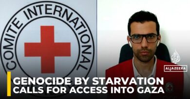 Political solution only way to end Gaza catastrophe, says ICRC spokesperson