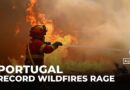 Portugal faces severe wildfires fuelled by record heat and strong winds