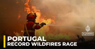 Portugal faces severe wildfires fuelled by record heat and strong winds