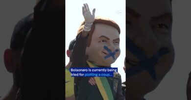 pro-Bolsonaro fans of Trump tariffs rally in Brazil | DW News