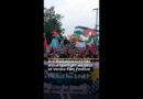 Pro-Palestine activists shine spotlight on Gaza at Venice Film Festival | AJ #shorts