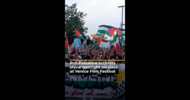 Pro-Palestine activists shine spotlight on Gaza at Venice Film Festival | AJ #shorts
