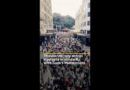 Pro-Palestine protesters rally in cities across Australia