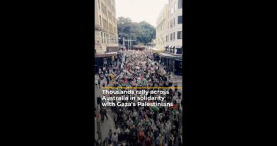 Pro-Palestine protesters rally in cities across Australia