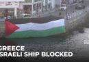 Pro-Palestinian protest halts Israeli cruise in Greece