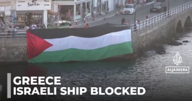 Pro-Palestinian protest halts Israeli cruise in Greece