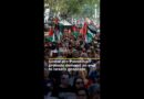 Protesters around the world demand an end to Israel’s genocide in Gaza | AJ#shorts
