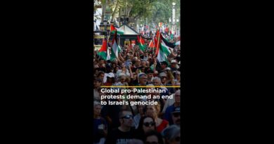 Protesters around the world demand an end to Israel’s genocide in Gaza | AJ#shorts