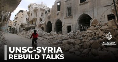 Rebuilding Syria: UNSC meeting held a month after Suwayda violence