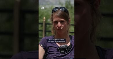 Rections to Laura Dahlmeier’s deadly accident during climb of Pakistan’s Laila Peak