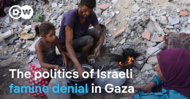 Refugee expert: Israel’s denial of Gaza famine is ‘wrong and misleading’ | DW News