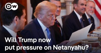 Retired Israeli officials urge Trump to pressure Netanyahu to end war in Gaza | DW News