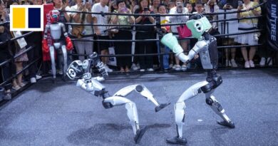 Robots impress spectators at world conference in Beijing