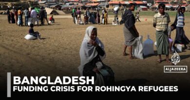 Rohingya refugees in Bangladesh hit hard by dwindling WFP funding