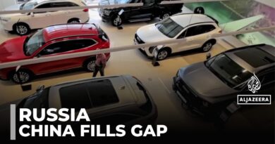Russian car industry: Chinese automakers fill gap in market