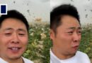 Sandstorm batters Chinese farm as live-streamer tries selling melons